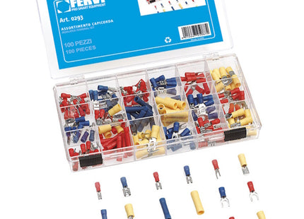 FERVI ASSORTIMENTO DI CAPICORDA TOTALE PZ200