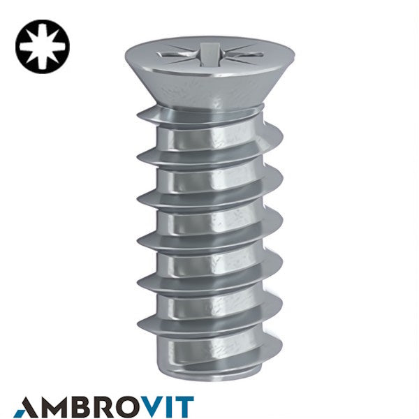 AMBROVIT VITE EURO A TESTA SVASATA PIANA PZ2 ZINCATA BIANCA
