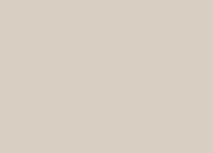 FLEUR RESINA ALTA RESISTENZA F10 DOVE GREY LT 2