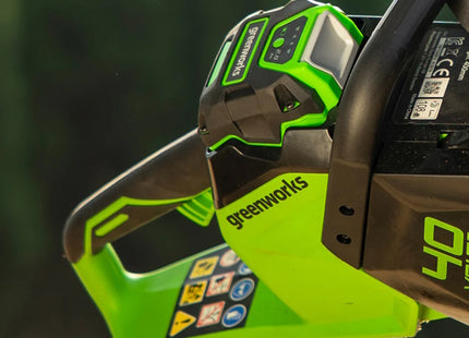 GREENWORKS BATTERIA G40B2 40V 2AH
