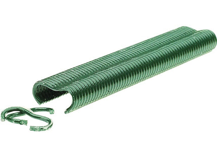 RAPID PUNTI PER RETI VR22 PLASTIFICATI VERDI SCATOLA DA PZ1600