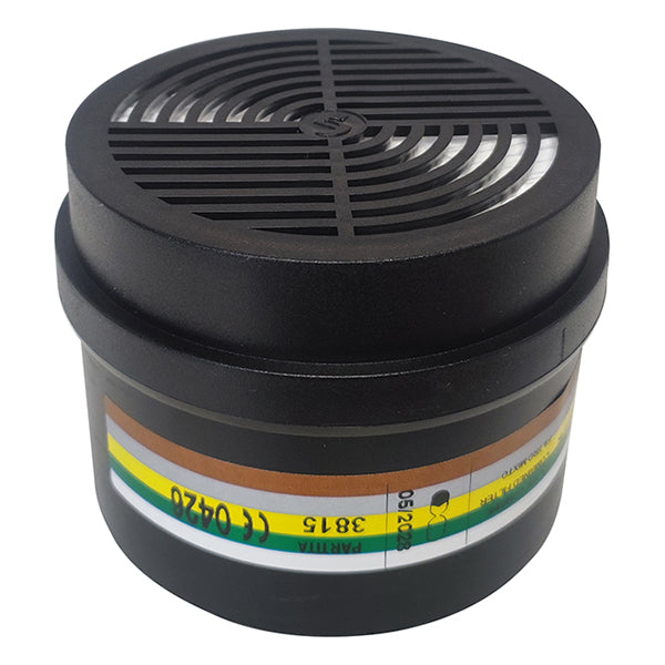 DPI FILTRO SERIE DIRIN 230 A2-B2- E2-K1-P3 R D POLIVALENTE COMBINATO*