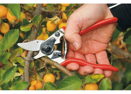FELCO FORBICE PER POTATURA MOD. F  6 DA MM195 + BERRETTO