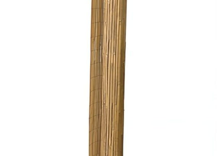 VERDELOOK ARELLA BEACH CANNICCIO IN BAMBOO