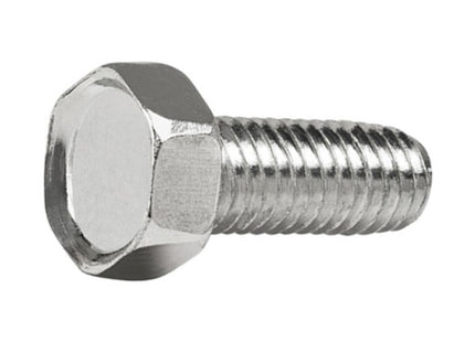 VITE TRILOBATA AUTOFORMANTE TE ZINCATA BIANCA UNI 8110 M 6X 10