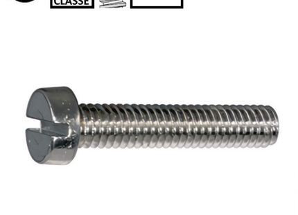 VITE TC CON INTAGLIO CLASSE 4.8 ZINCATA BIANCA UNI 6107 DIN 84