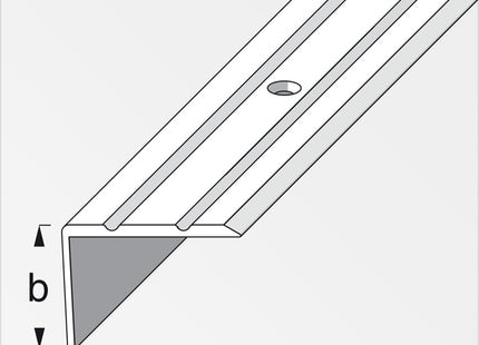 ALFER PROFILO PER SCALE ALLUMINIO ANODIZZATO ARGENTO MM25X20 MT1