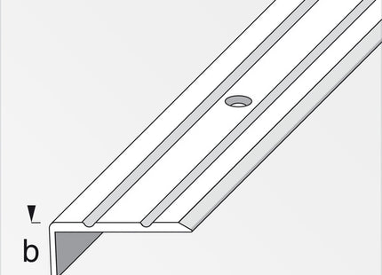 ALFER PROFILO DI CHIUSURA ALLUMINIO ARGENTO CON FORI MM25X10 MT2