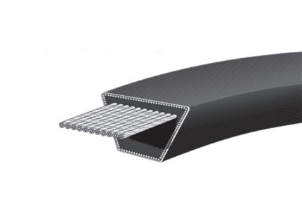 CINGHIA TRAPEZOIDALE Z