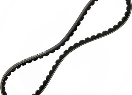 CINGHIA DENTATA SPBX