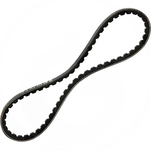 CINGHIA DENTATA SPBX