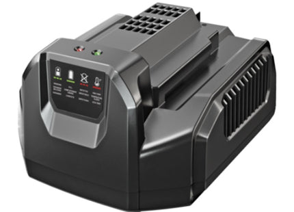 EGO CARICABATTERIE CH2100E STANDARD