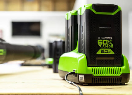 GREENWORKS CARICABATTERIA G60UC 60V